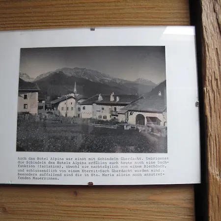 Hotel Alpina 3*
